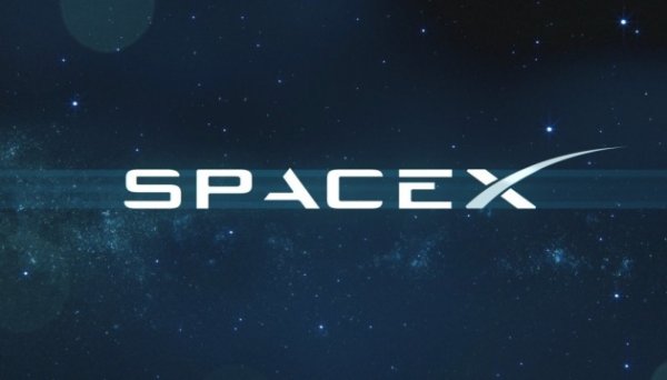 SpaceX веде переговори про продаж акцій, оцінка компанії може сягнути $800 мільярдів – WSJ