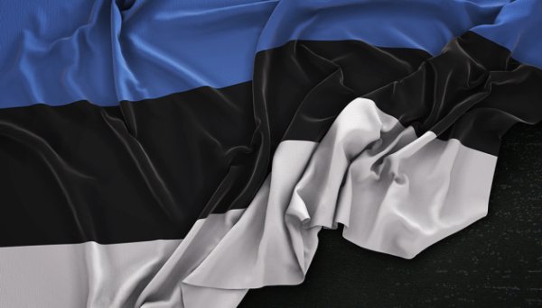 Естонія виділяє €2 мільйони на підтримку енергетики України