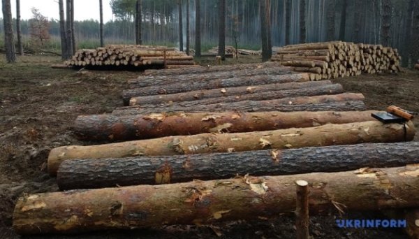 Обмеження на експорт деревини та металобрухту продовжили до кінця 2026 року