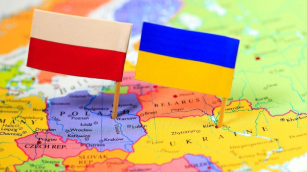Украинцы стали лидерами среди иностранного бизнеса в Польше: за год открыто почти 34 тысячи ФЛП
