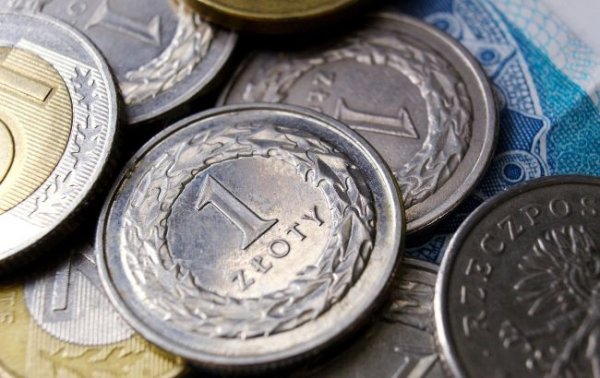 Официальный курс злотого впервые превысил 12 гривен