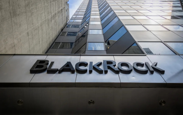 Прогноз BlackRock на 2026 год: Глобальные инвестиции фокусируются на ИИ-инфраструктуре и токенизации