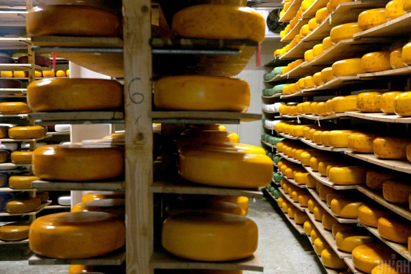 Українські сировари масово скорочують виробництво: що стало причиною
