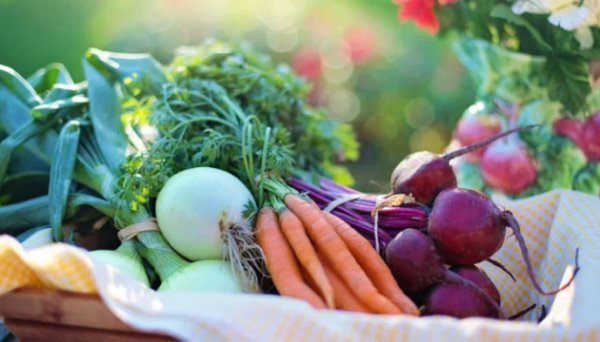 Різкого зростання цін на продукти борщового набору не очікується – Мінекономіки