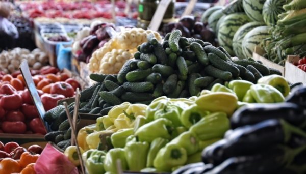 Виробництво сільгосппродукції в Україні зросло у січні на 3,2% – Держстат