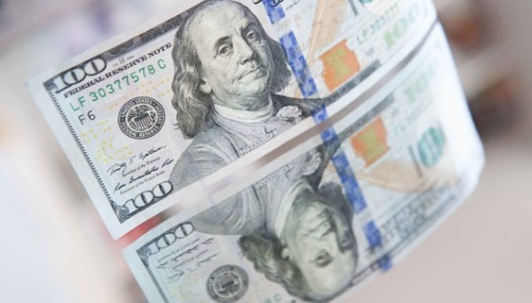 Валютна виручка від експорту продуктів переробки олійних зросла майже вдвічі – депутат