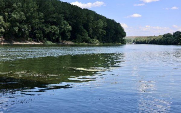На річках Дністро і Прут через відлигу очікують підйом рівня води до одного метра