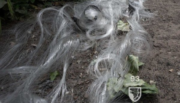 Росія торік викупила понад 10% оптоволокна на світовому ринку – ЗМІ