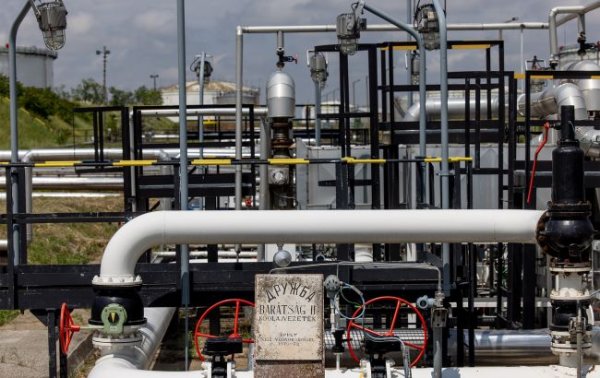 Нефтепровод “Дружба” заработает уже завтра? РБК-Украина узнало, правдивы ли слухи