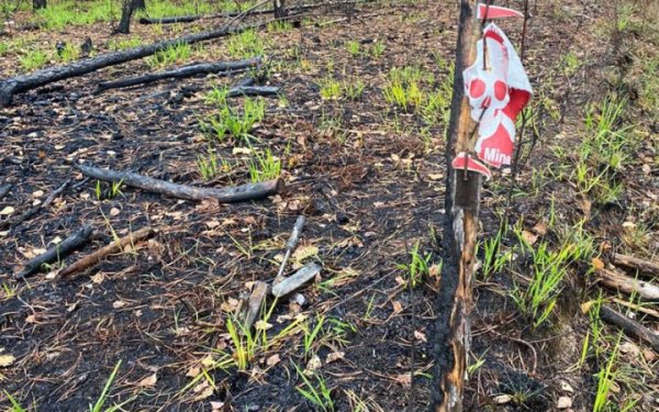 Росіяни продовжують дистанційно мінувати територію Сумщини