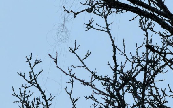 У Харкові вперше зафіксовано застосування FPV-дрона на оптоволокні