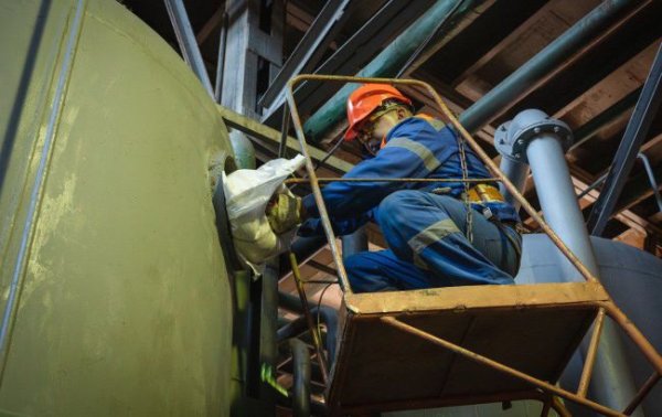 Вместо дорогого газа. Как ива может спасти громады от холода зимой