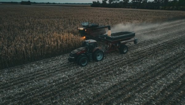 Як зерно з окупованих територій «перефарбовують» у російсько-білоруське