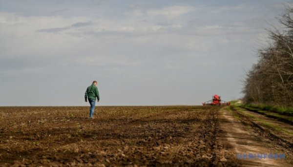 У 17 областях України вже стартувала посівна