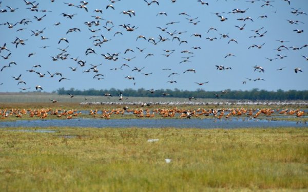 В Україні вперше ухвалено вирок за воєнний злочин проти природно-заповідного фонду