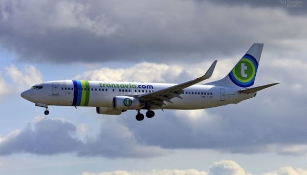 Transavia слідом за KLM скасовує частину рейсів через зростання цін на пальне