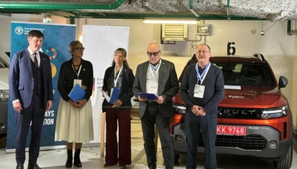 В Україні запускають проєкт із відновлення лісів із бюджетом у $5,4 мільйона
