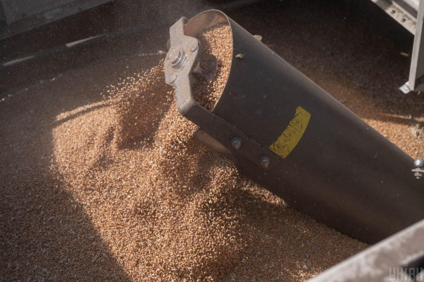 Україна наростила доходи від аграрного експорту: хто головні покупці