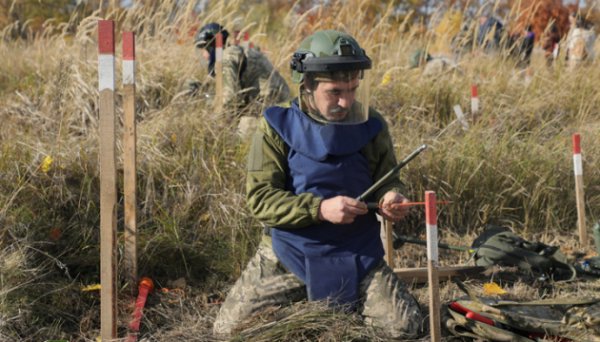В Україні за програмою гуманітарного розмінування в обіг повернули понад 15 000 гектарів сільгоспземлі – експерт