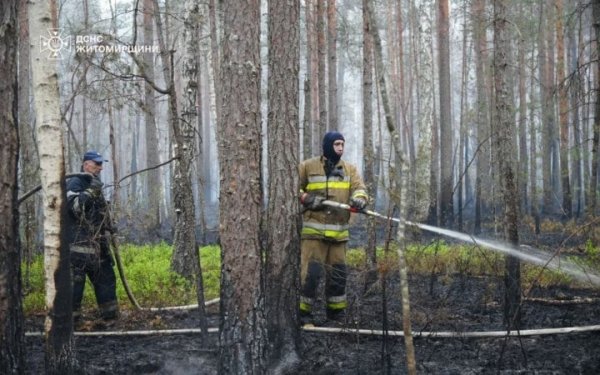 На Житомирщині четверту добу триває гасіння масштабної лісової пожежі