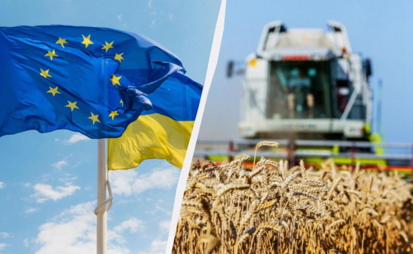Грошей ніхто не дасть: швидкий вступ до ЄС боляче вдарить по українських аграріях