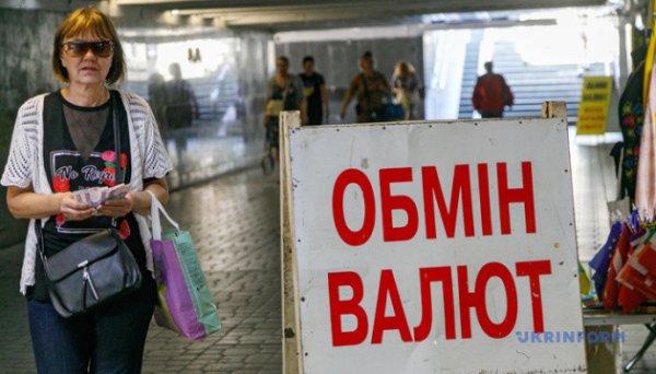 Долар та євро дешевшають: Нацбанк оголосив курс гривні на 8 травня