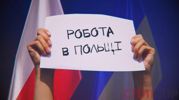 Польша ужесточила контроль за рабочими визами: выдача упала на 87%