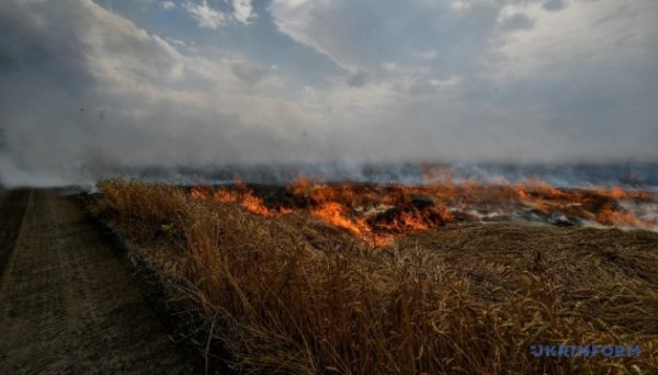 Збитки довкіллю України від російської агресії перевищили ₴7 трильйонів