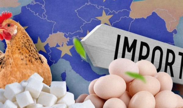 Украинская агропродукция в ЕС: квоты иссякают быстрее, чем заканчивается год