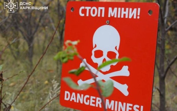 На Харківщині чоловік підірвався на російській міні
