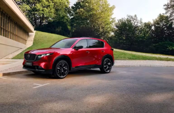 Частные покупатели сократили покупку новых авто на 29%, бизнес нарастил на 7%