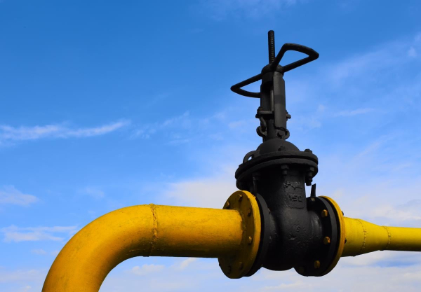 Три африканські країни розпочали будівництво газопроводу до Європи в обхід Росії, - BI