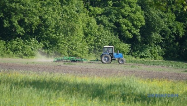 В Україні ярими зерновими засіяли 97% прогнозованих площ