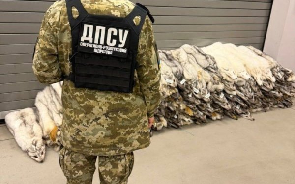 На польсько-українському кордоні в салоні автобуса виявили 120 шкурок песця