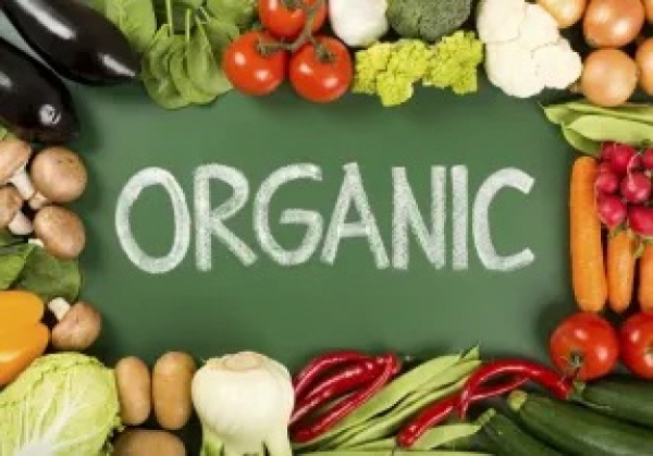 В Украине усилят контроль за органическими продуктами: кого коснутся новые правила
