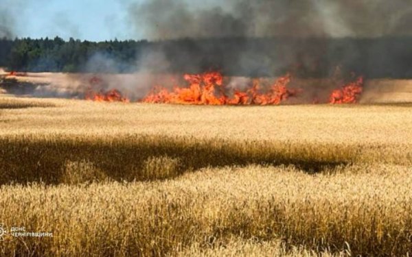 РФ атакувала Чернігівщину дронами: горіли пшеничне поле, будинки та вантажівка