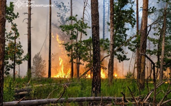 На Житомирщині ліквідували пожежу, яка тривала 4 дні