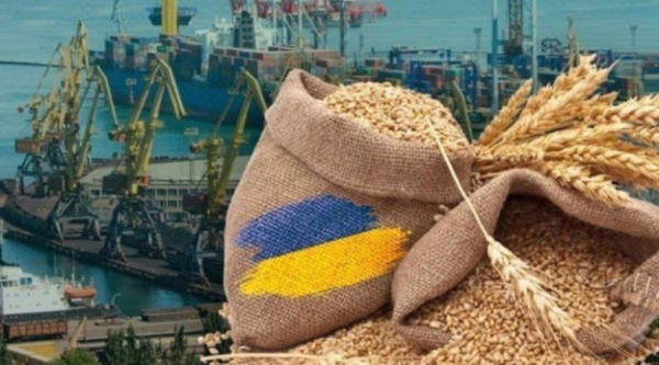 Остановка портов бьет не только по зерну, но и представляет угрозу всей экономике — Ирина Коссе.