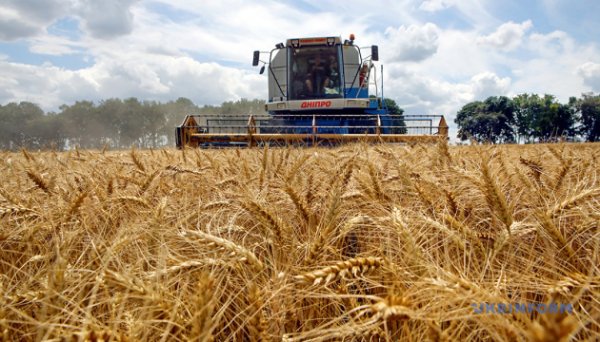 Аграрії всіх областей України розпочали збір ранніх зернових