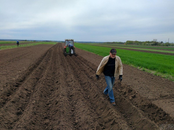 В Україні подорожчала земля: скільки вже коштує один гектар