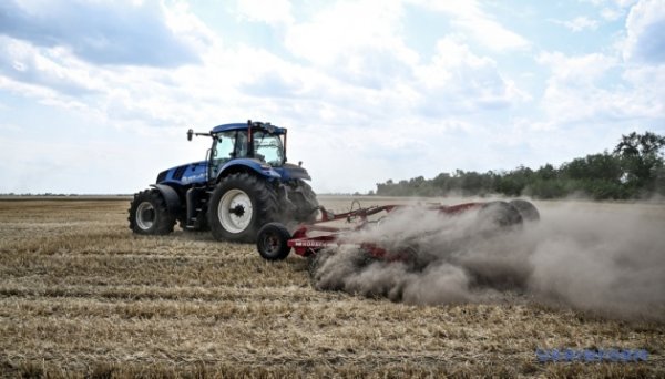 В Україні вже зібрали 32,2 мільйона тонн зернових