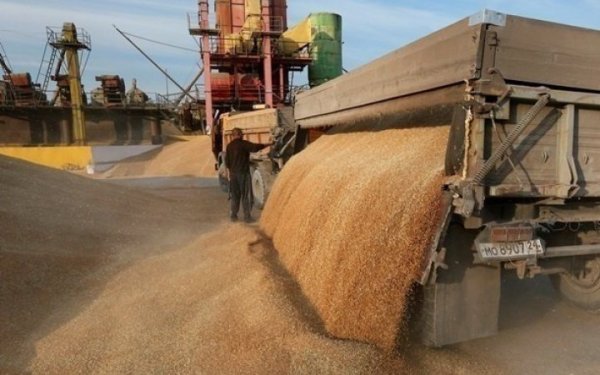 УЗА просить Мінагрополітики перевірити повідомлення про те, що Польща обмежила зберігання українського транзитного зерна
