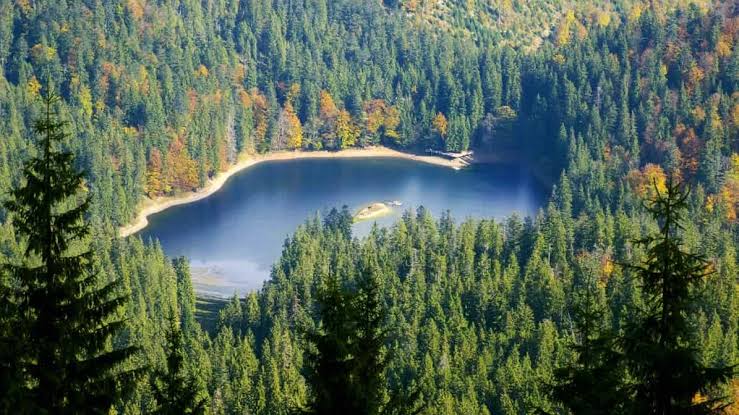 Цікаві факти про озеро Синевир: легенда і екологія