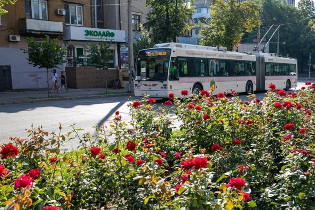 Транспорт у Запоріжжі 14 жовтня: гребля ДніпроГЕС закрита — як їдуть тролейбуси й автобуси на Хортицю і в центр Тролейбус на вулиці Запоріжжя біля клумби з трояндами