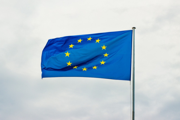 ЕС выделил Украине 75 миллионов евро на гуманитарную помощь
ЕС выделил Украине 75 миллионов евро на гуманитарную помощь
