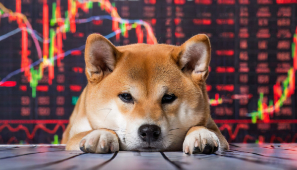 CoinGecko назвал самые выгодные криптовалюты 2023 года
CoinGecko назвал самые выгодные криптовалюты 2023 года